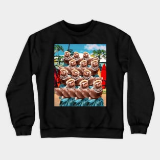 Aloha Sloth Hawaiian Sloths, Beach Funny Crewneck Sweatshirt